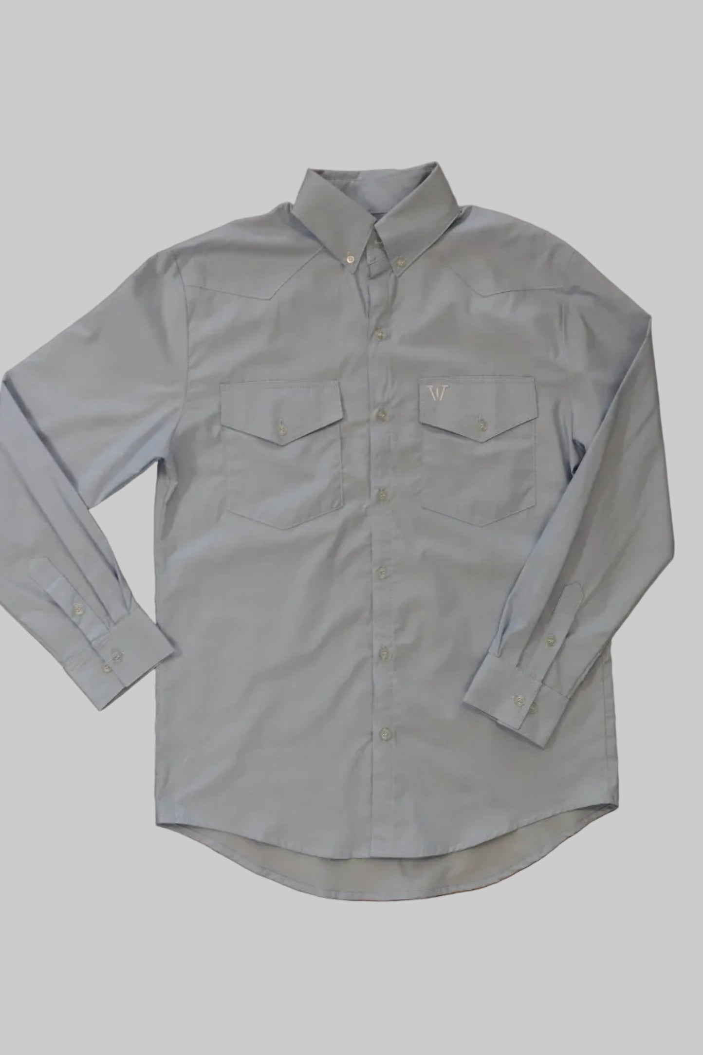 Classic men's chambray button down
