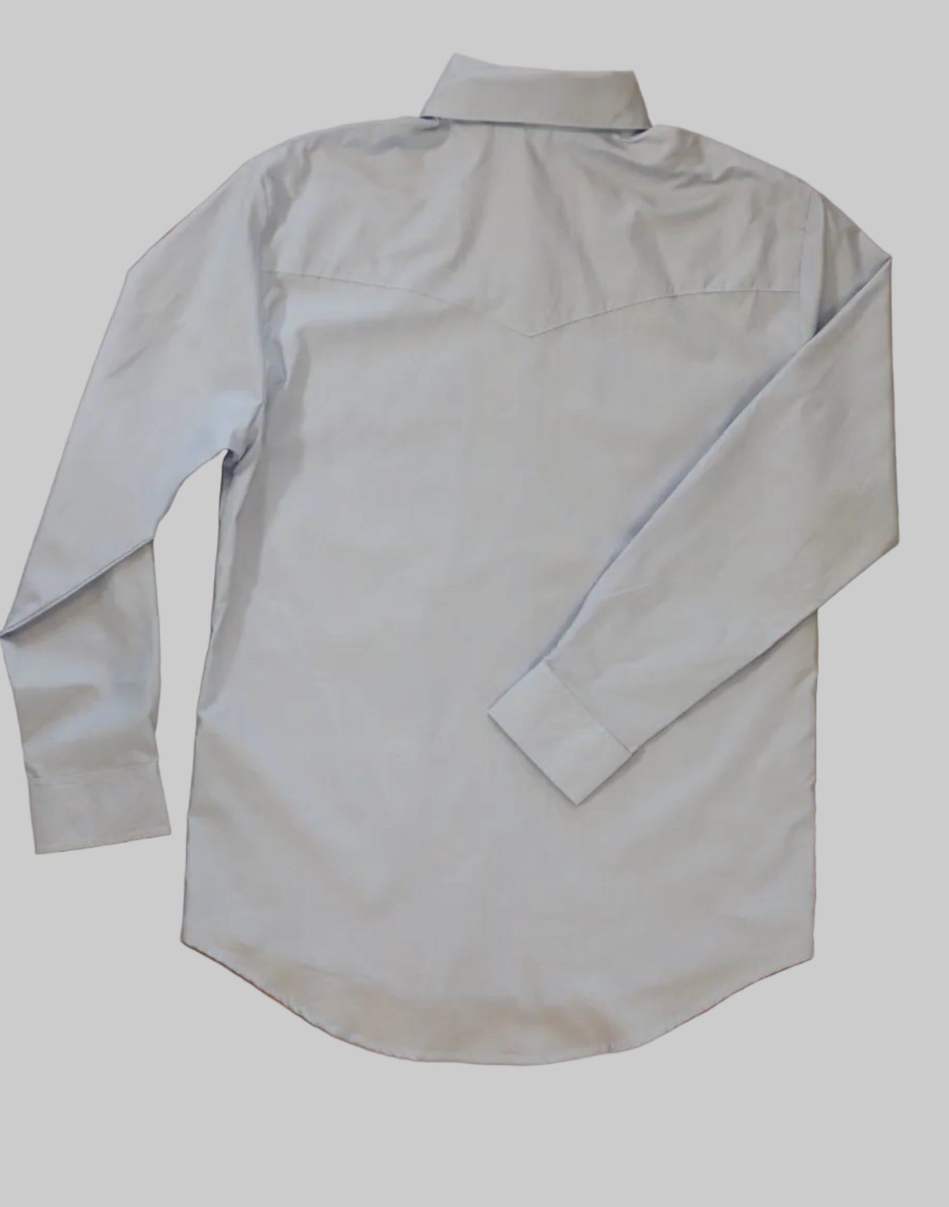 mens classic chambray back of shirt